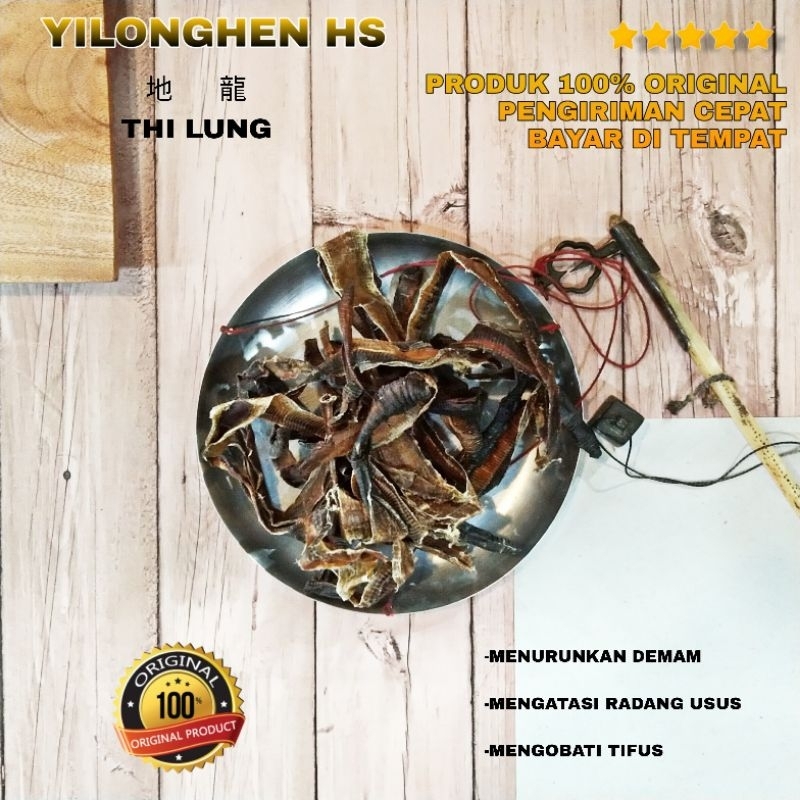Thi Lung Cacing Tanah Lumbricus Rubellus Kering 1 Liong Obat Demam Tifus