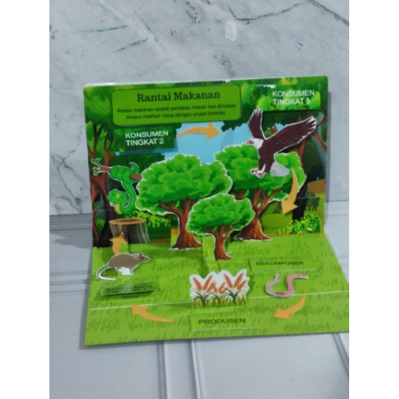 jual-diy-pop-up-book-rantai-makanan-po-shopee-indonesia