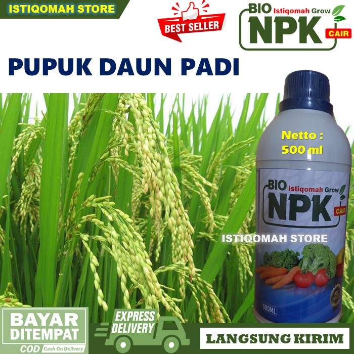 Jual Pupuk Untuk Menghijaukan Daun Padi Istiqomah Grow Ml Pupuk Npk Cair Pupuk Daun Padi Yang