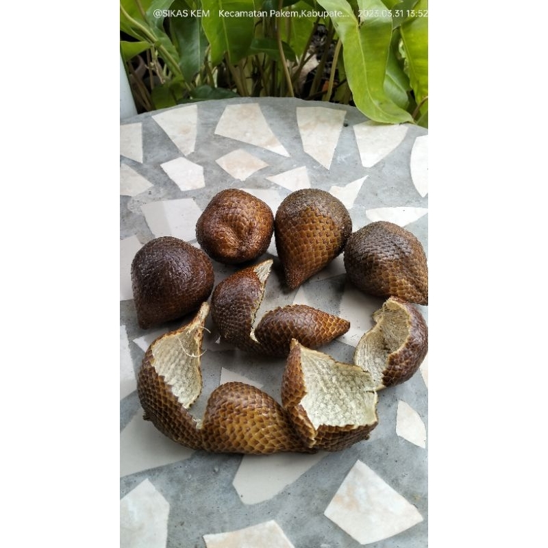 Jual Kulit Salak Pondoh 1kg Shopee Indonesia