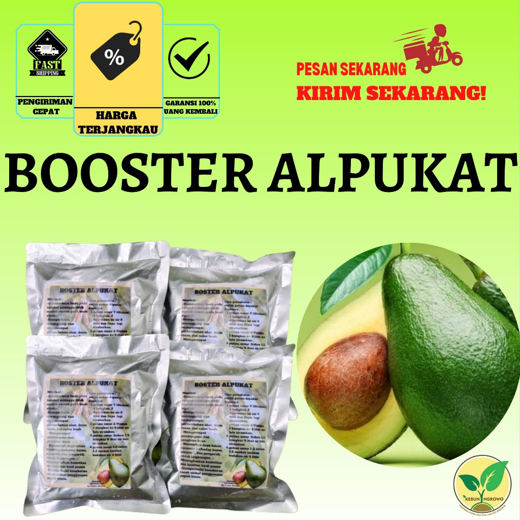 Jual Pupuk Booster Organik Pelebat Buah Alpukat Dan Perangsang Alpukat ...