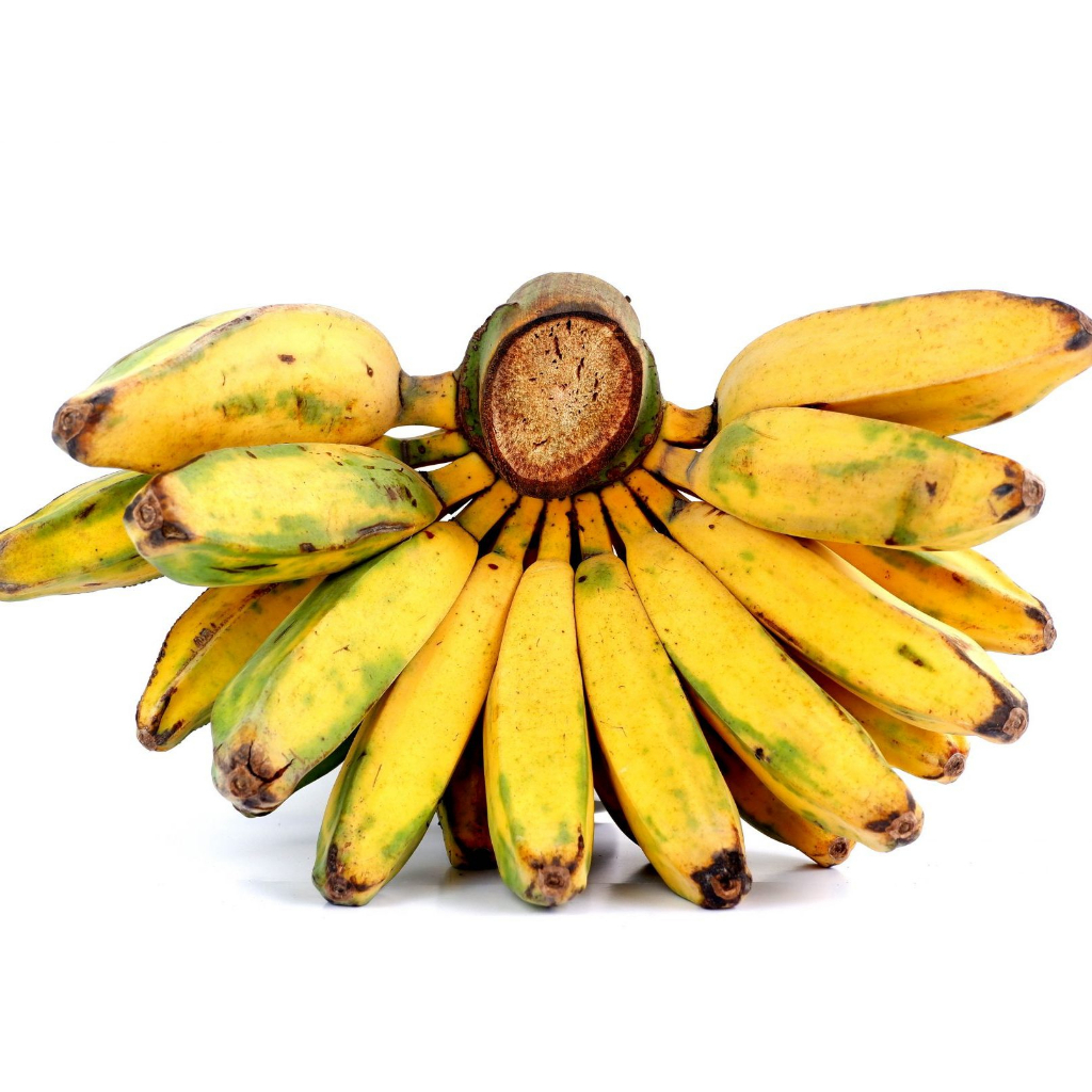 Jual PISANG KEPOK 1 SISIR | Shopee Indonesia
