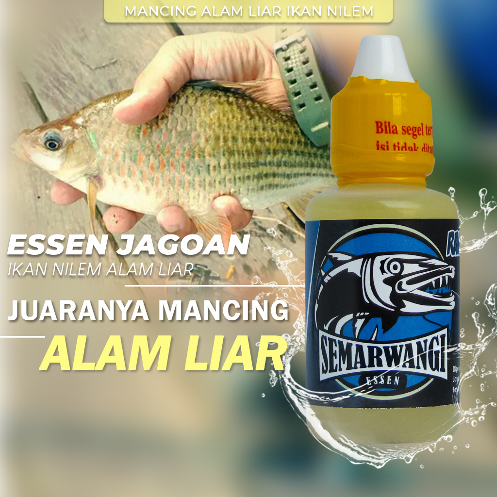 Jual Semarwangi Essen Ikan Nilem Untuk Dikolam Harian Dan Alam Liar Isi