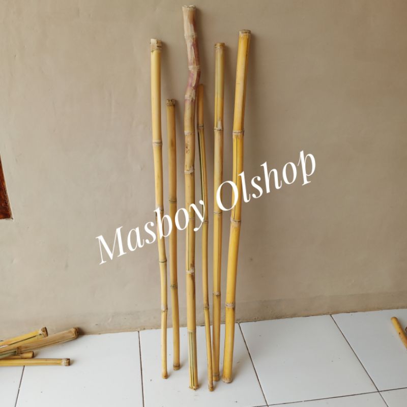 Jual Bambu Kuning Tongkat Bambu Kuning Meter Shopee Indonesia