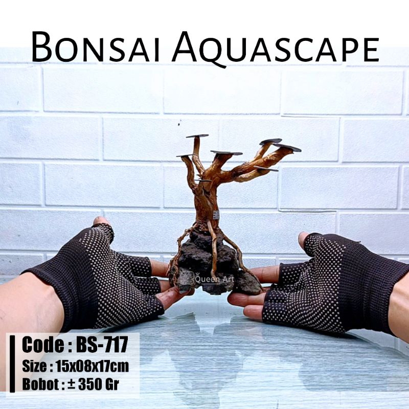 Jual Bonsai Aquascape Akar Senggani Hiasan Aquarium 3 Shopee