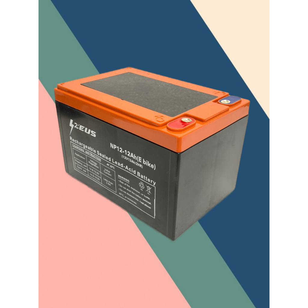Pack de 3 Batterie 6-DZM-12 12V14Ah de quad électrique