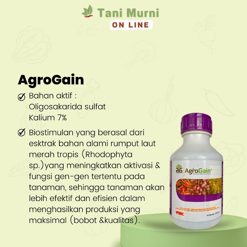 Jual Agrogain Biostimulan Isi 250 Ml Pupuk Anorganik Dan Hormon Tanaman ...