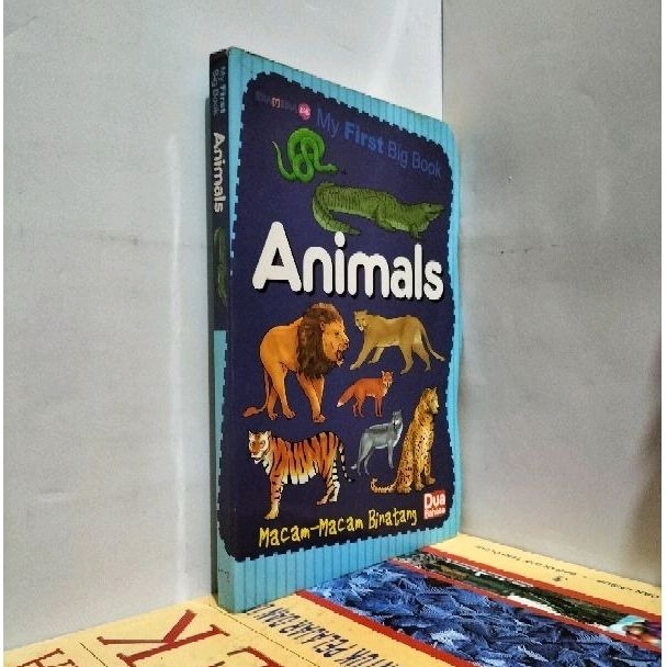Jual MY FIRST BIG BOOK ANIMALS BILINGUAL MACAM-MACAM BINATANG | Shopee ...
