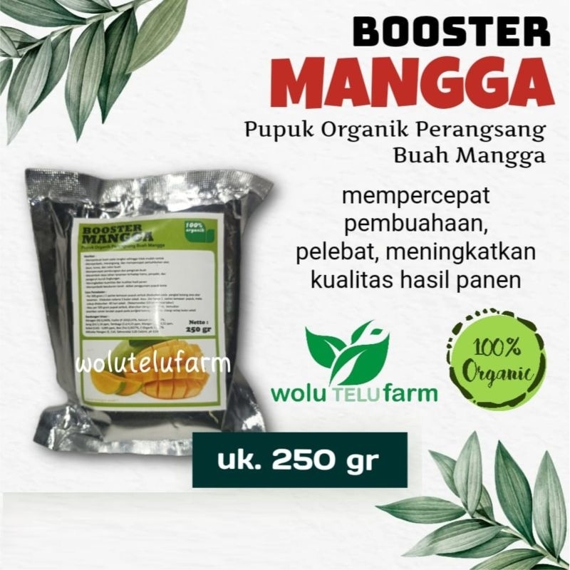 Jual Pupuk Organik Booster Mangga Perangsang Buah, Serbuk 250 Gr ...