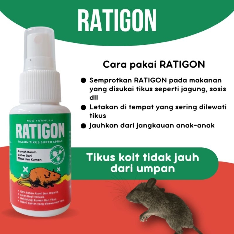 Jual Racun tikus mati kering dan gak bau RATIGON Paling ampuh