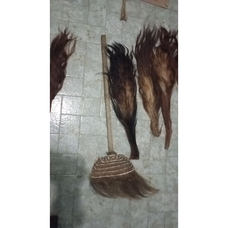 Jual BACA DESKRIPSI Rambut Ekor/Gubat/Buntut Sapi Kering Superan tanpa ...