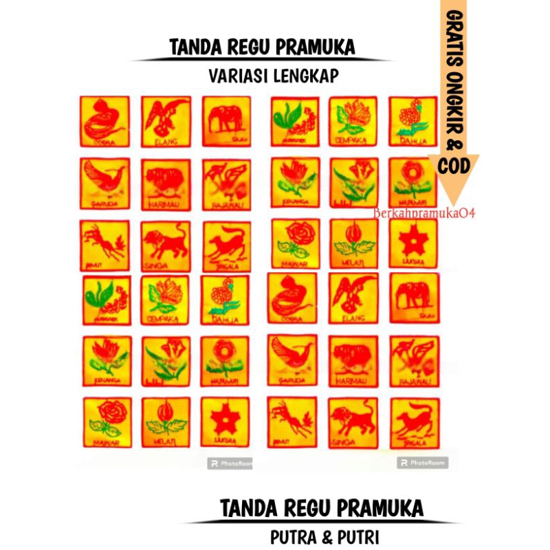 Jual Tanda Regu Pramuka Putra Tanda Regu Elang Naga Tanda Regu