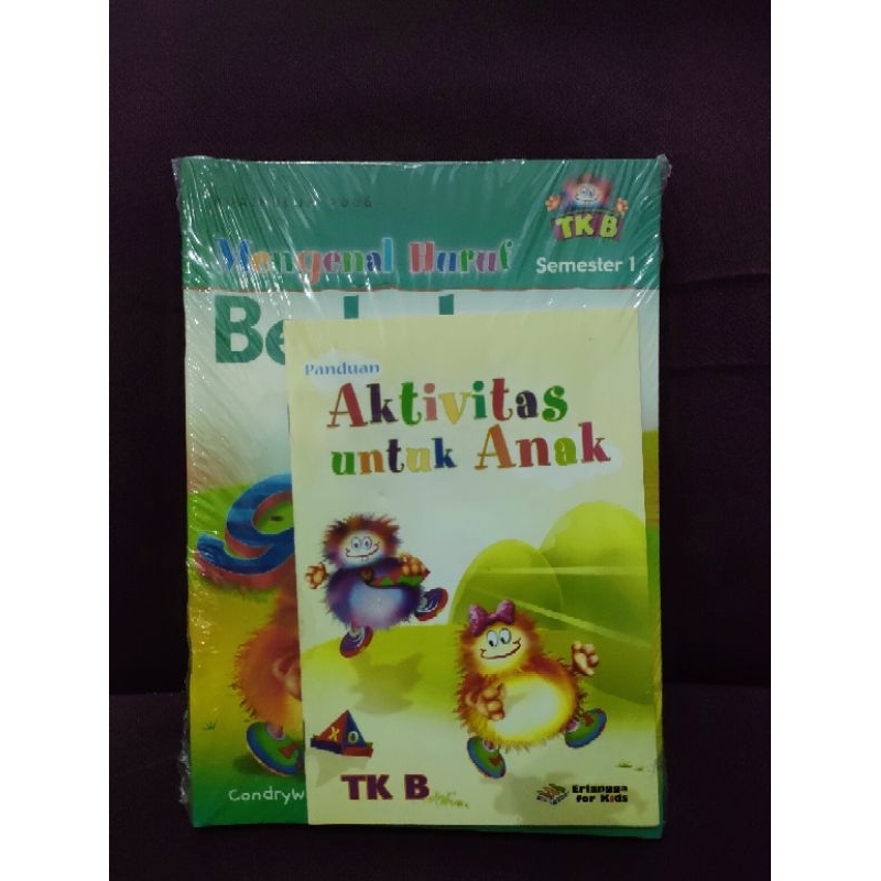 Jual Panduan Aktivitas Untuk Anak TK B Mengenal Angka Berhitung ...