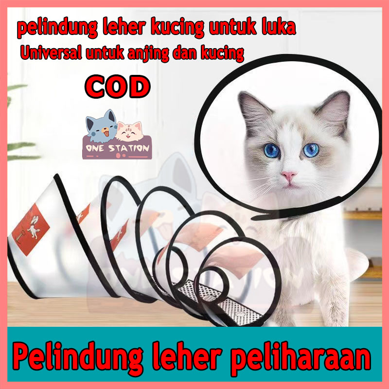 Jual Pelindung Leher Kucing hewan peliharaan penutup pelindung kerah