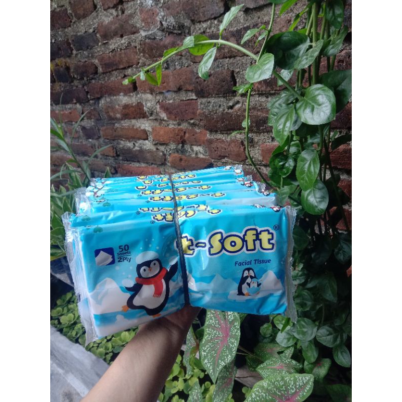 Jual TISU TSOFT 50SHEETS 2PLY | Shopee Indonesia