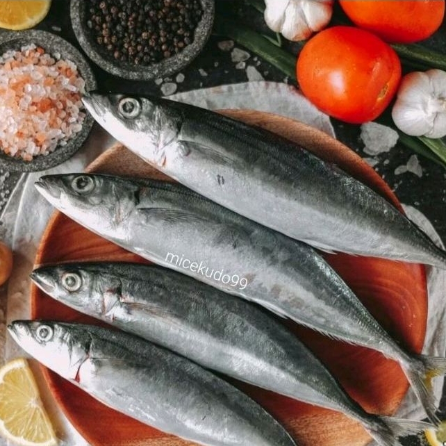 Jual IKAN LAYANG SEGAR FRESH FLYING FISH Shopee Indonesia