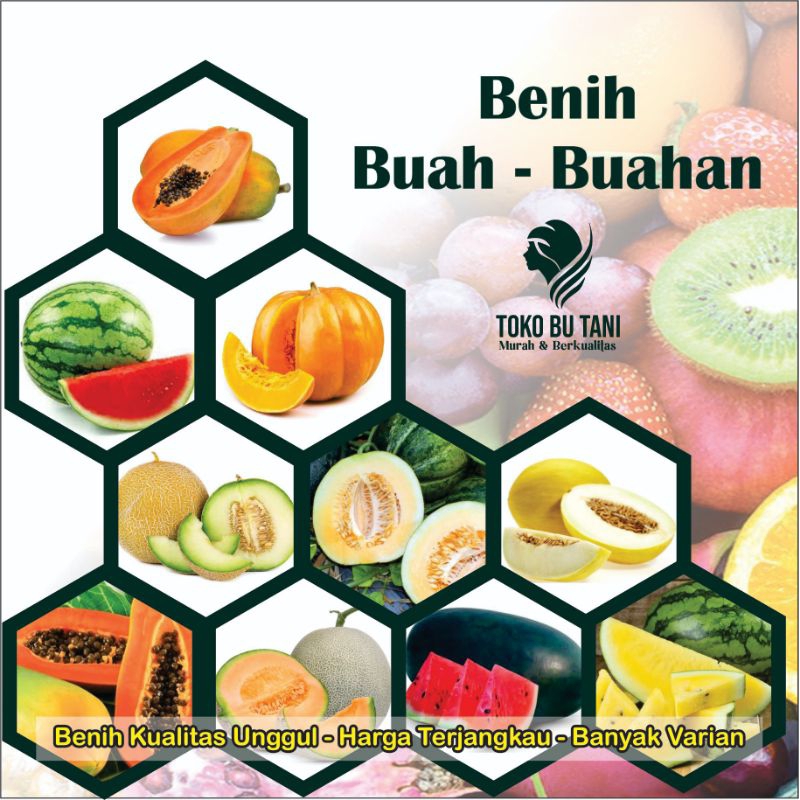 BTN Bibit Buah Benih Buah Lengkap Tanaman Buah-buahan Benih Melon semangka Lengkap Berkualitas