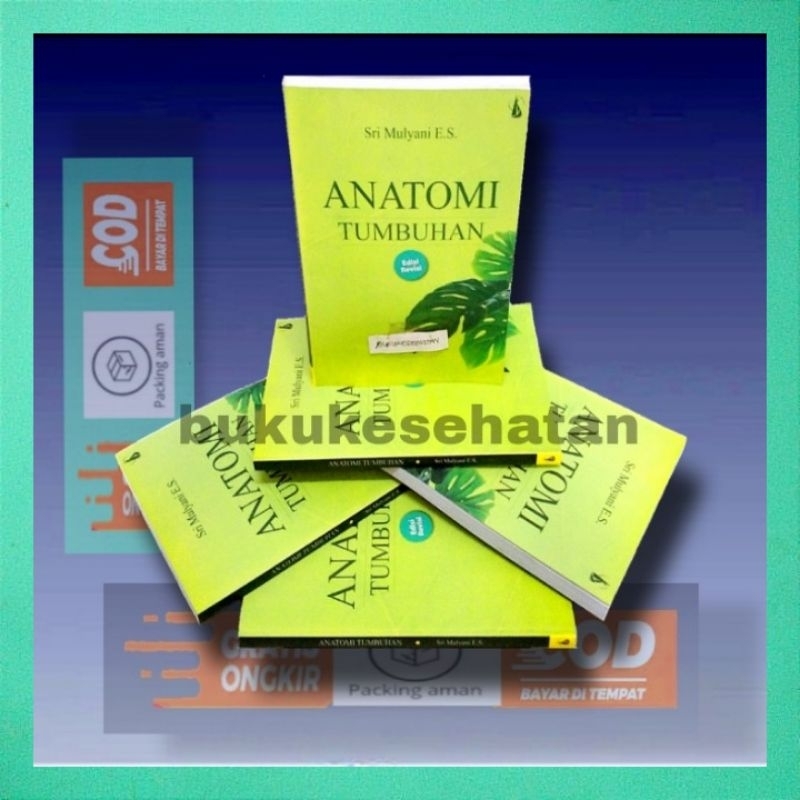 Jual Buku ANATOMI TUMBUHAN , Edisi Terbaru , Edisi Revisi | Shopee ...