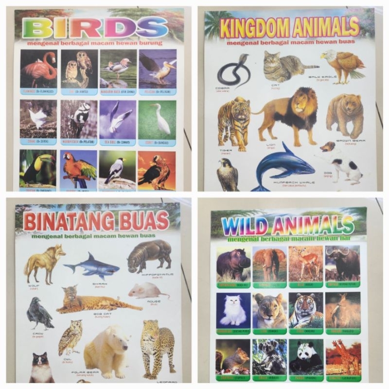 Jual Poster Binatang 33x24 cm | Shopee Indonesia