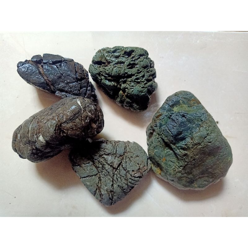 Jual BATU TURLY TURLI AQUSCAPE PALUDARIUM TERARIUM AKUARIUM AQUARIUM ...