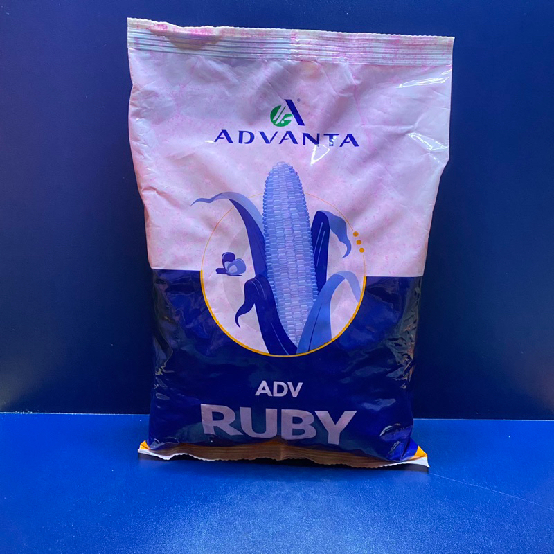 Jual Benih Jagung Hibrida Ruby 777 Advanta 1kg | Shopee Indonesia