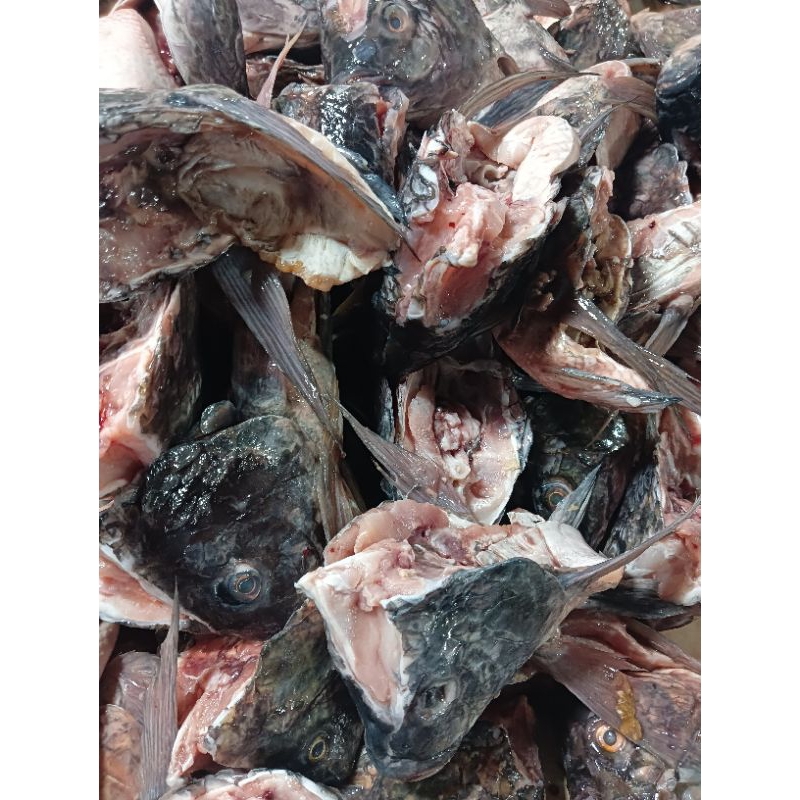 Jual Kepala Ikan Monja Fresh 1kg | Shopee Indonesia