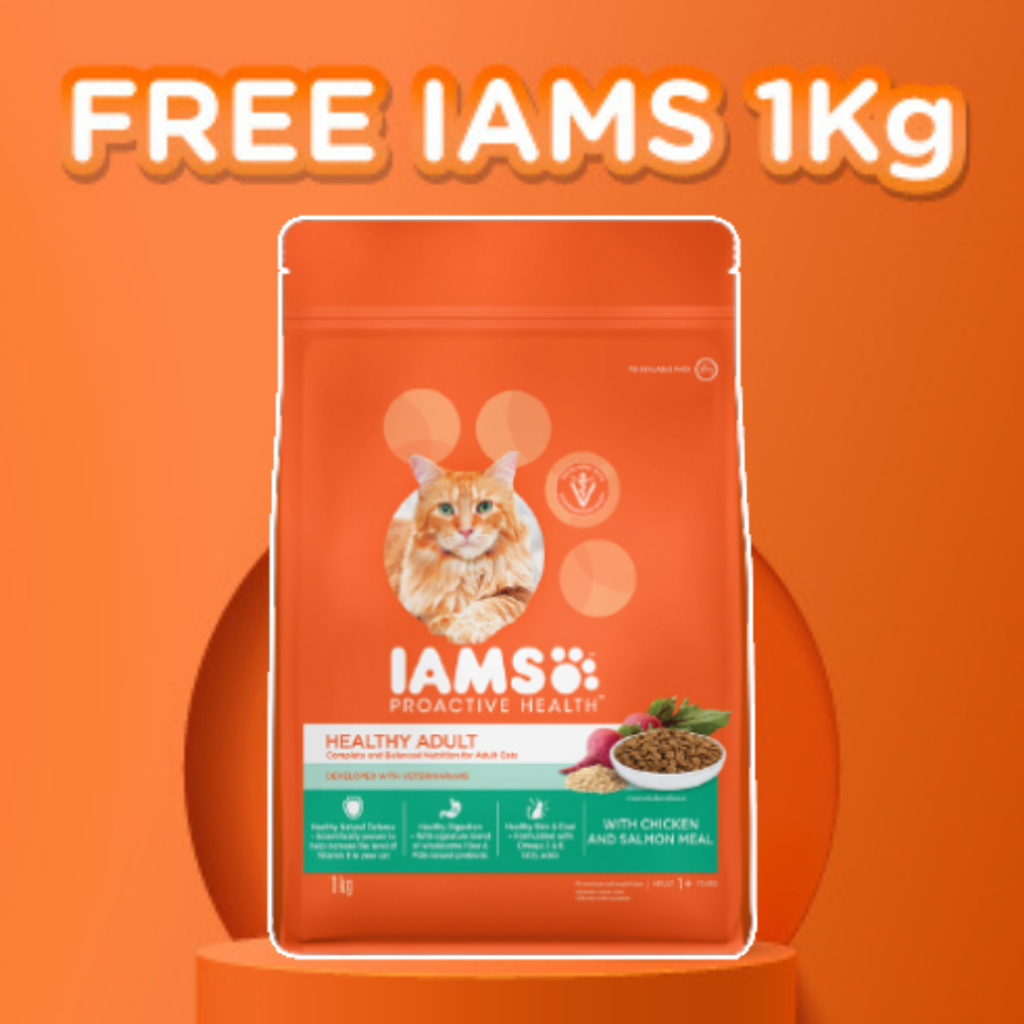 Jual IAMS Dry Cat Food Adult Chicken & Salmon 1kg Freshpack Shopee