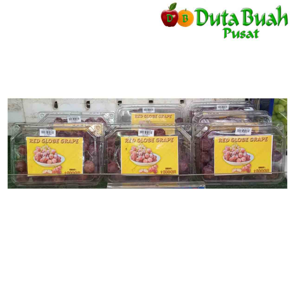 Jual DUTA BUAH ANGGUR RED GLOBE (+-800GRAM) | Shopee Indonesia