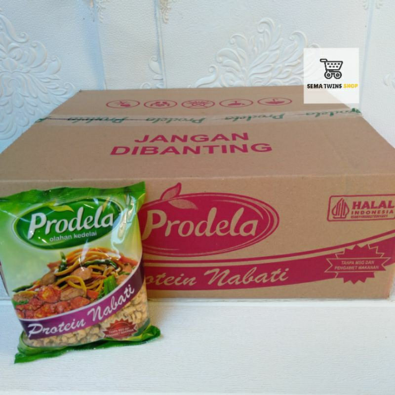 Jual 1 DUS - PRODELA Proteina Daging Nabati 250gr x 24 Pcs ( 1 KARTON ...