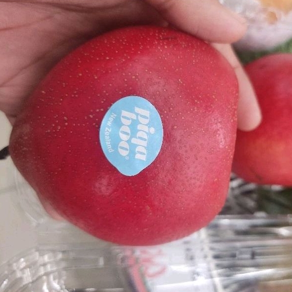 Jual Pear merah piqaboo Import new zeland 1 Pack isi 2 | Shopee Indonesia