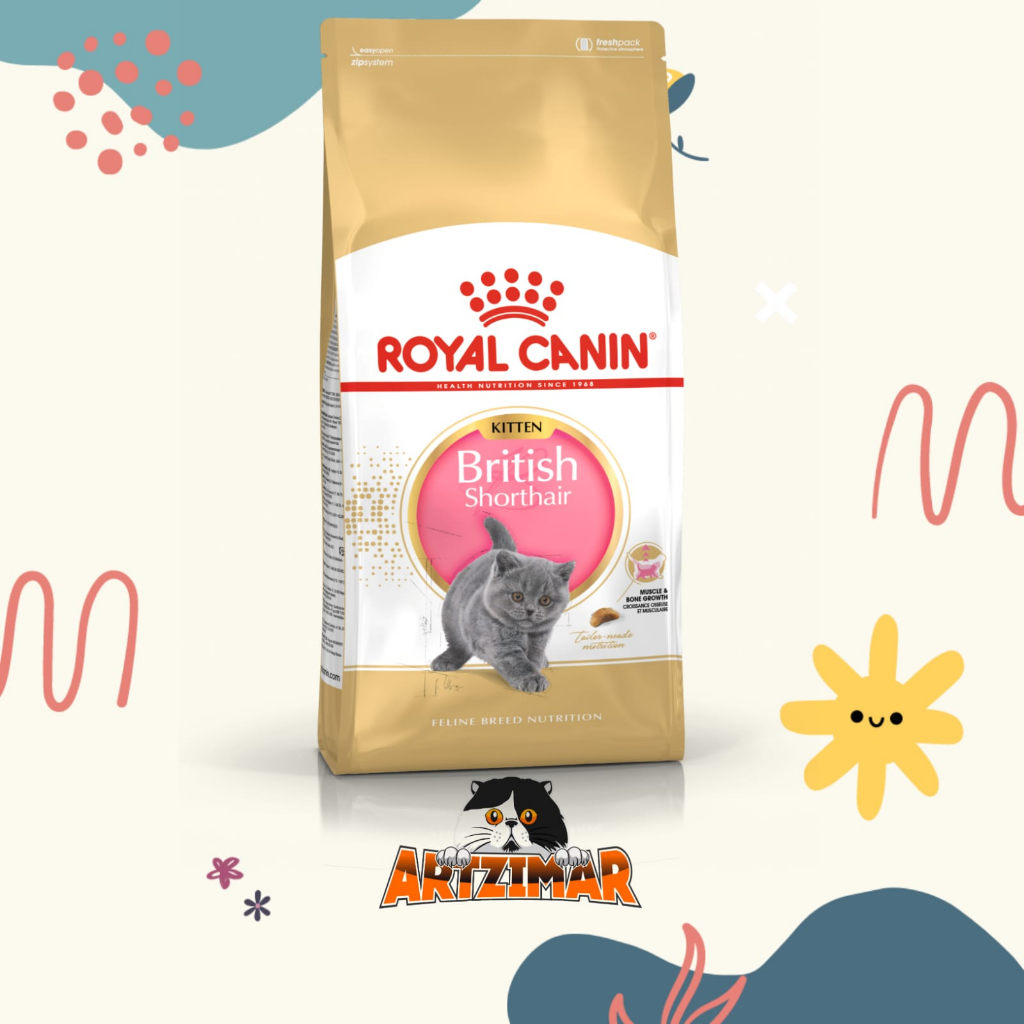 Jual Royal Canin British Shorthair Kitten (2kg) Dry Makanan Anak Kucing ...