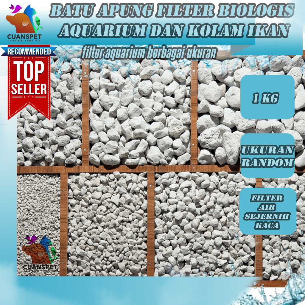 Jual Batu Apung 1 Kilo Gram Pumice Stone Aquarium Filter Shopee Indonesia