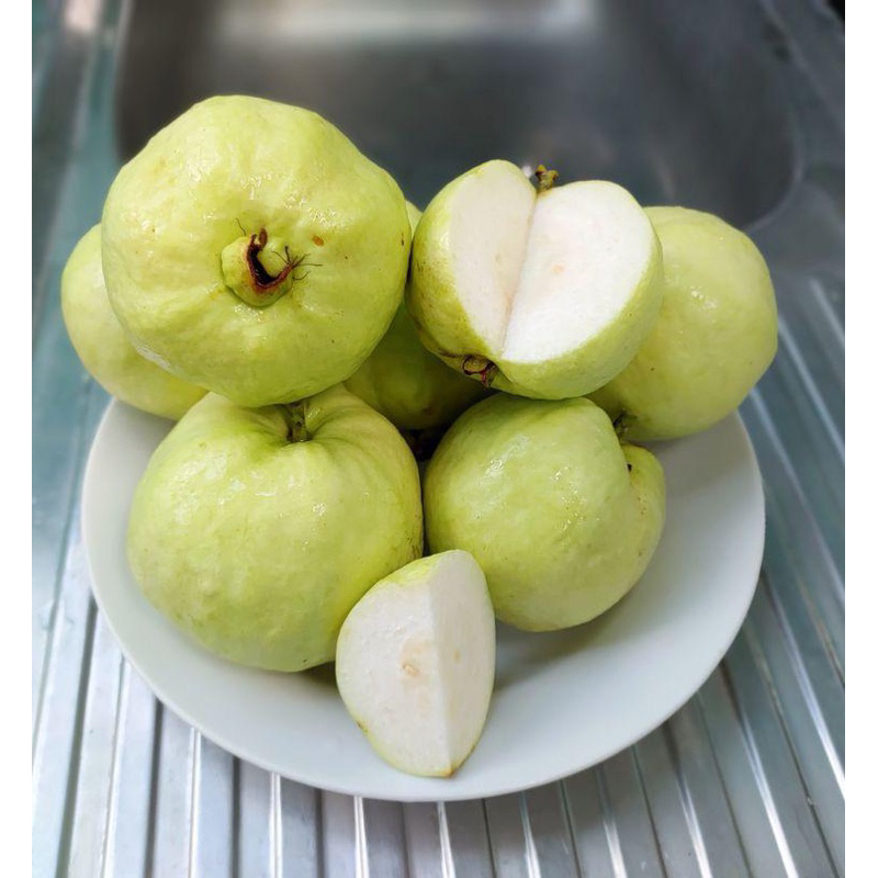 Jual JAMBU KRISTAL 1Kg Shopee Indonesia