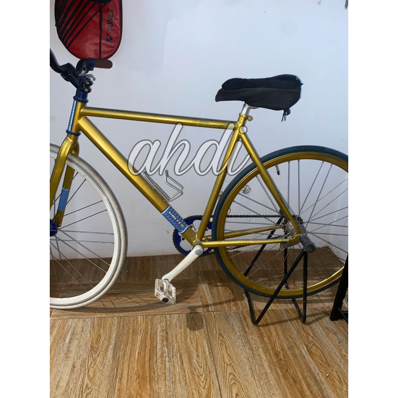 fixie repaint