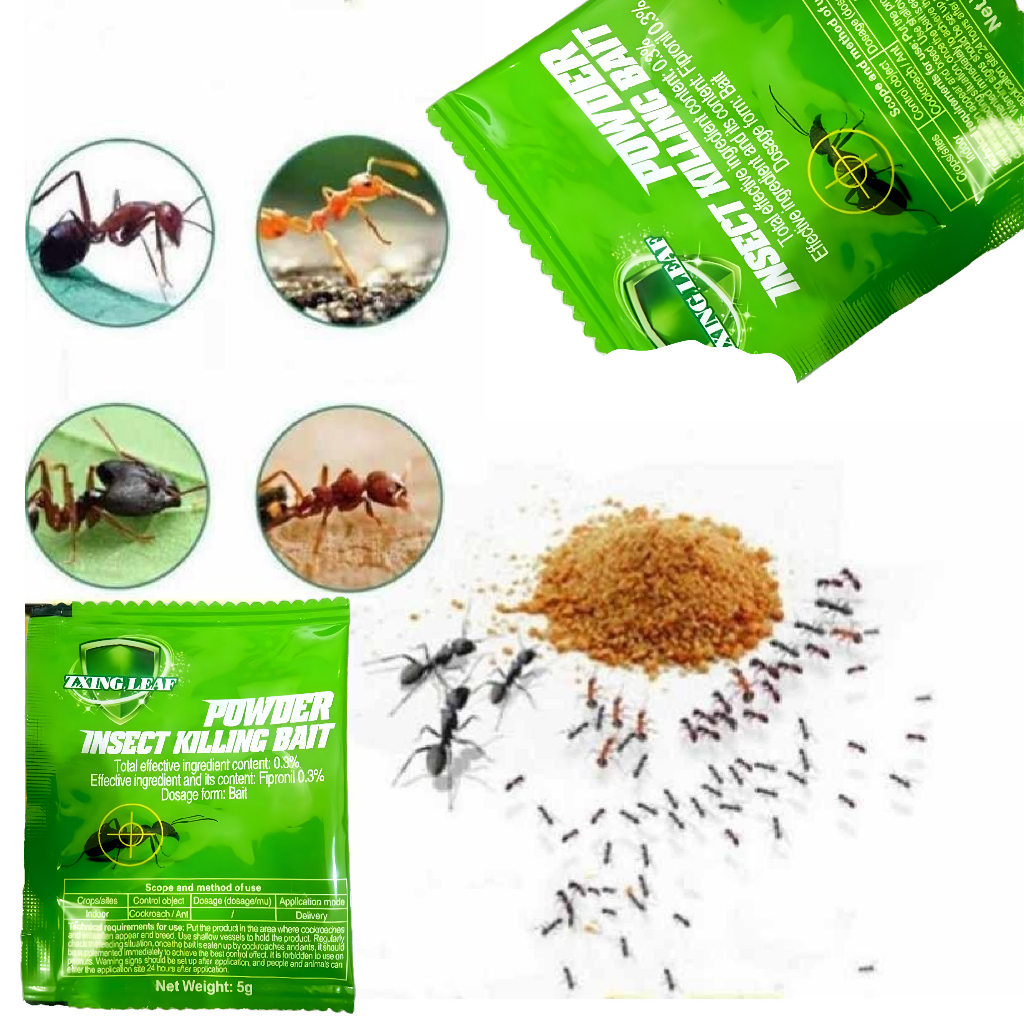 Jual Racun Semut Paling Ampuh Membasmi Semua Jenis Semut Racun Semut