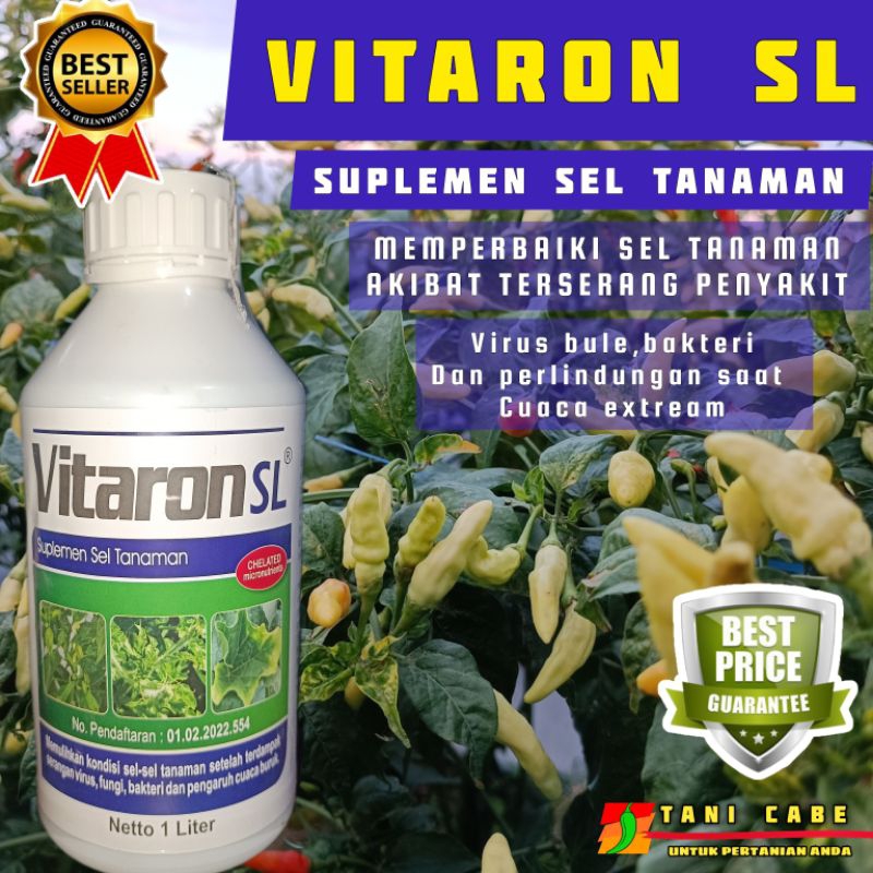 Jual Vitaron Sl Pupuk Tanaman Untuk Virus Bule Liter Shopee Indonesia