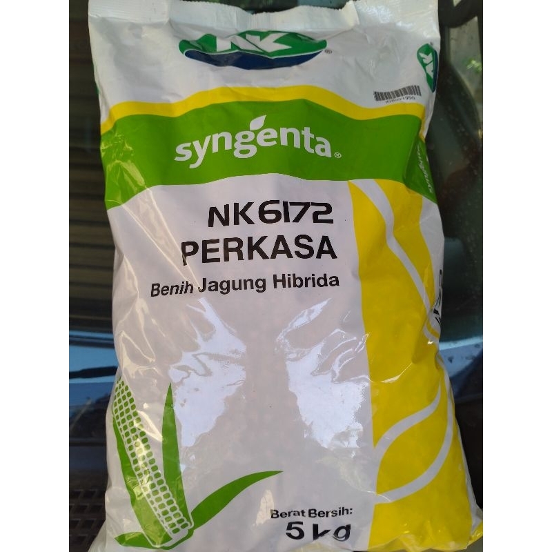 Jual Benih Jagung Hibrida NK Perkasa 6172 Kemasan 5kg | Shopee Indonesia