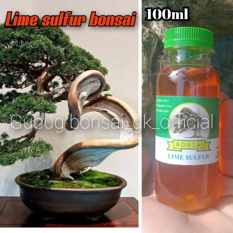 Jual obat jin , lime sulfur bonsai jin seal pengawet kayu mati 100ml