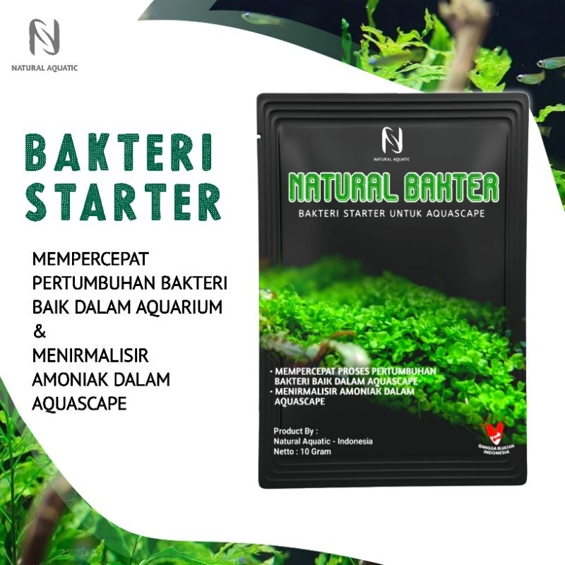 Jual Bakteri Starter Aquascape Natural Bakter Gr Shopee Indonesia