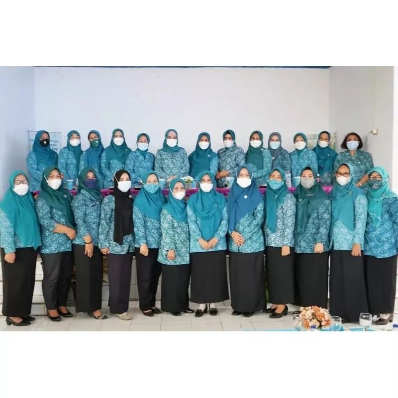 Jual Seragam batik pkk nasional terbaru full furing seragam batik pkk ...