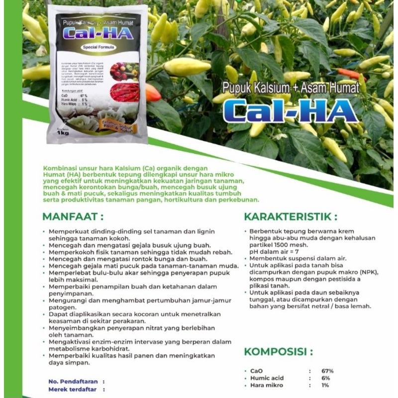 Jual CAL-HA 1 KG PUPUK KALSIUM + ASAM HUMAT CAL HA TANAMAN SUBUR KUAT ...