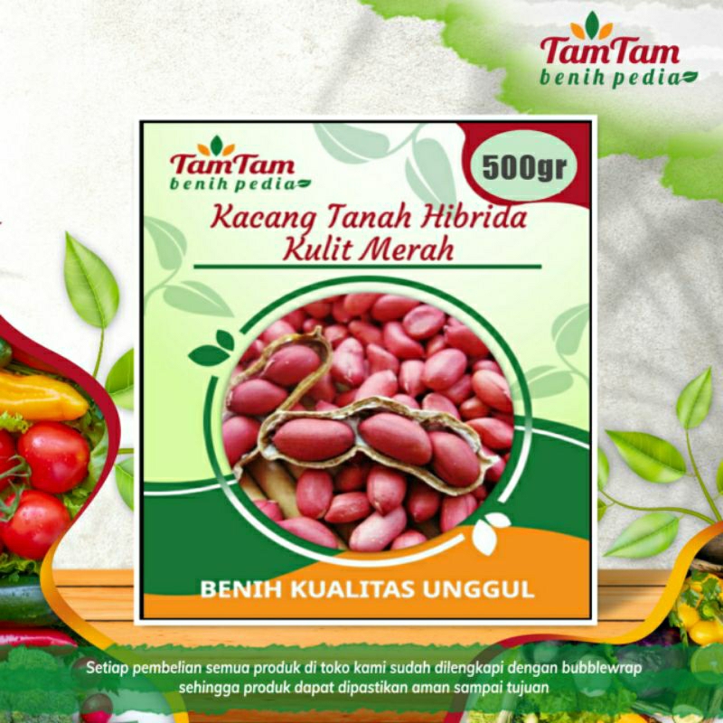 Jual Benih Kacang Tanah Jumbo Super Hibrida Kulit Merah 500gram