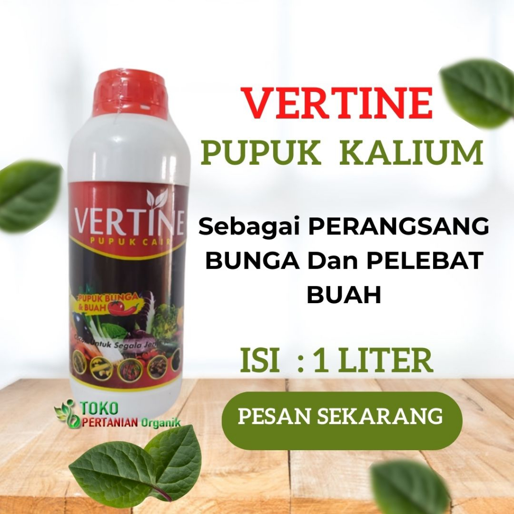 Jual PUPUK Cengkeh Agar Berbuah Lebat, Nutrisi Tanaman Cengkeh Panen ...