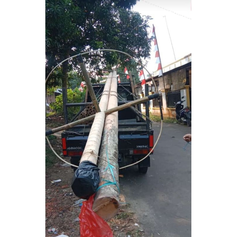 Jual pohon panjat pinang / panjat pinang/ rebutan pinang | Shopee Indonesia