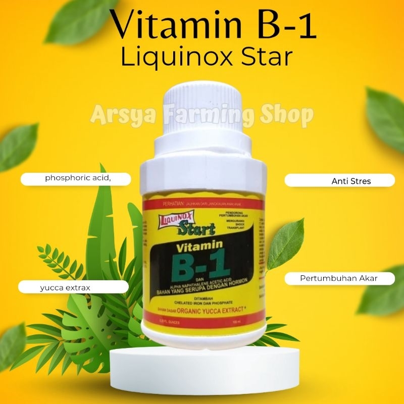 Jual Vitamin B1 Liquinox Start 100 Ml Vitamin Untuk Pertumbuhan Akar ...