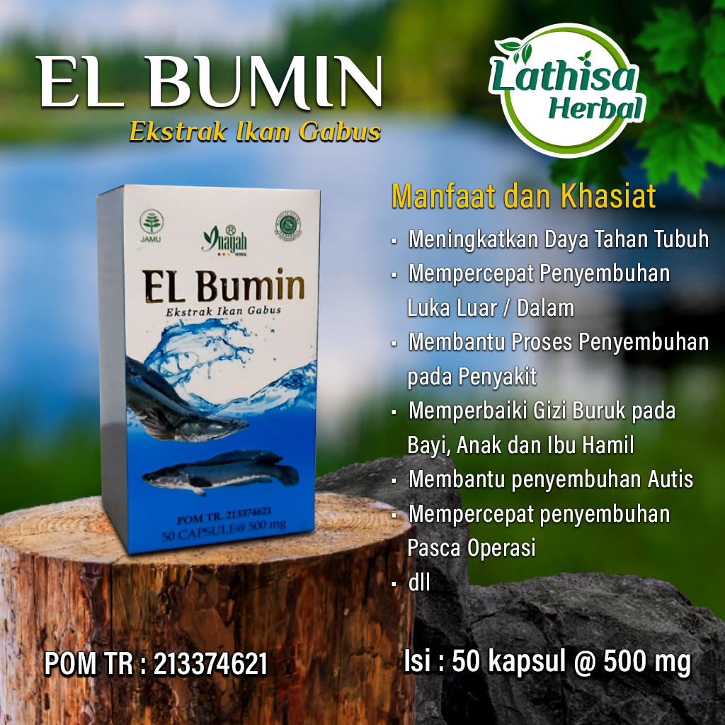 Jual kapsul el Bumin albumin gabus ekstrak grade A BPOM | Shopee Indonesia