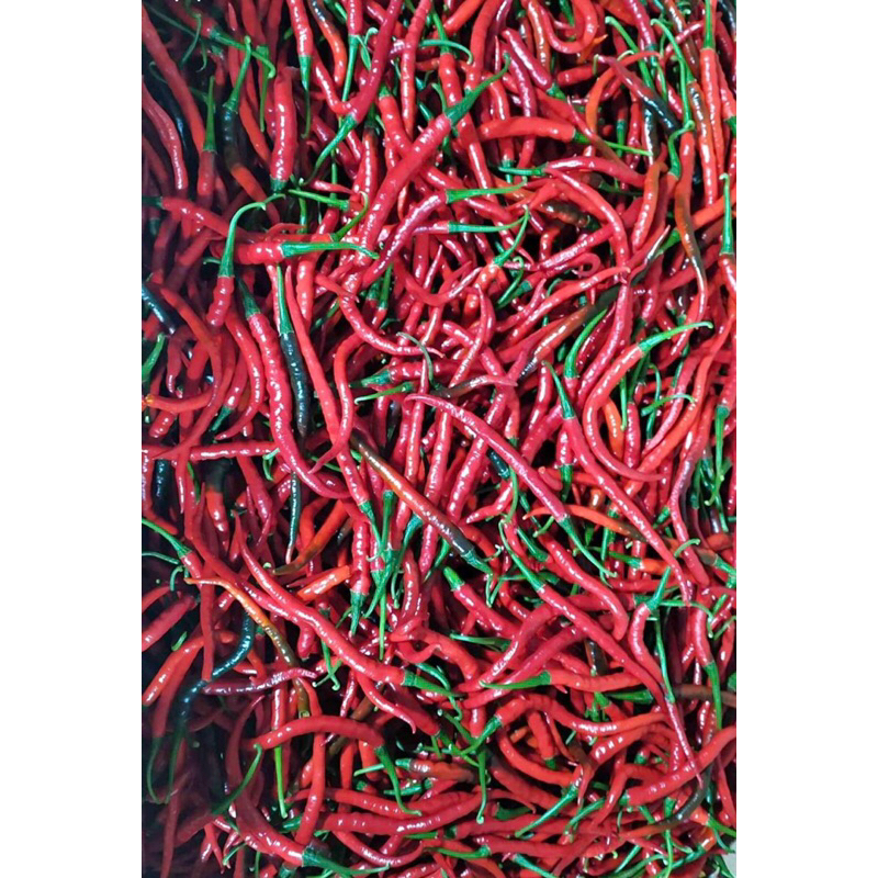 Jual Cabai Cabe Merah Keriting CMK | Shopee Indonesia