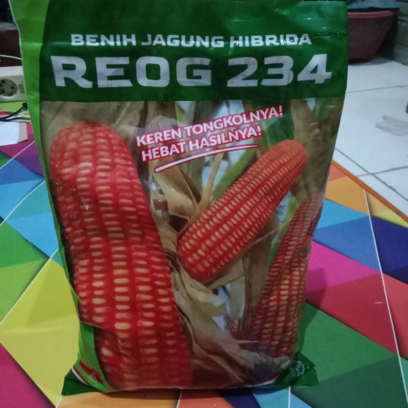 Jual Reog 234 Benih Jagung Benih Jagung Hibrida Benih Jagung Kemasan