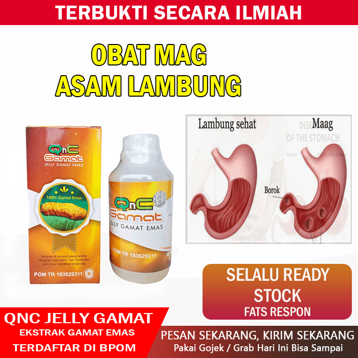 Jual Obat Maag Asam Lambung Naik Gastritis Dada Panas Gerd Qnc Jelly Gamat Shopee Indonesia 5456