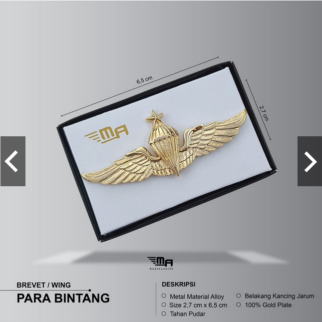 Jual BREVET WING PARA BINTANG BRIVET PIN | Shopee Indonesia